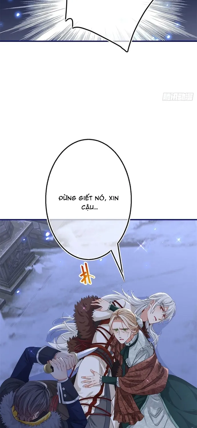 Chapter 115
