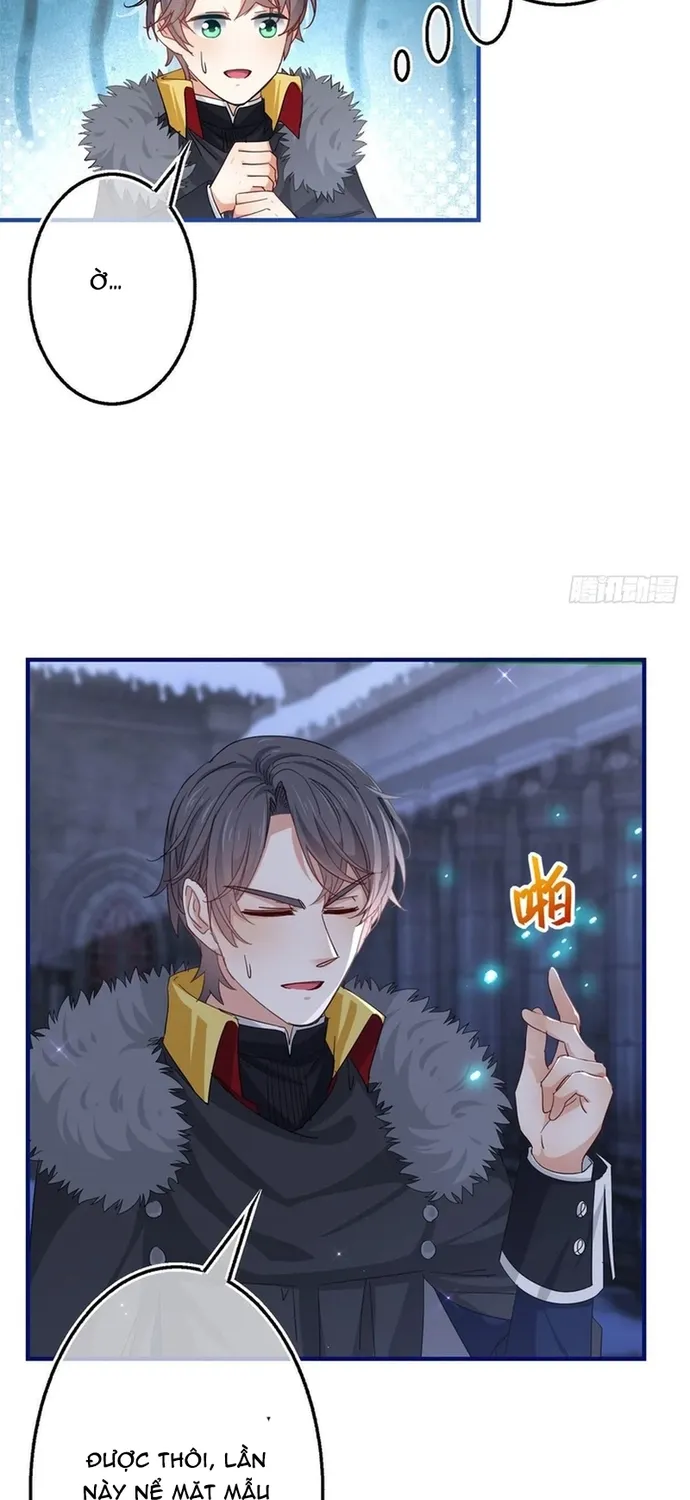 Chapter 115