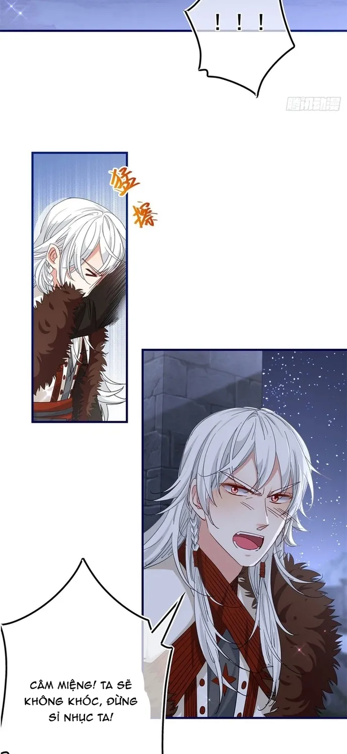 Chapter 115