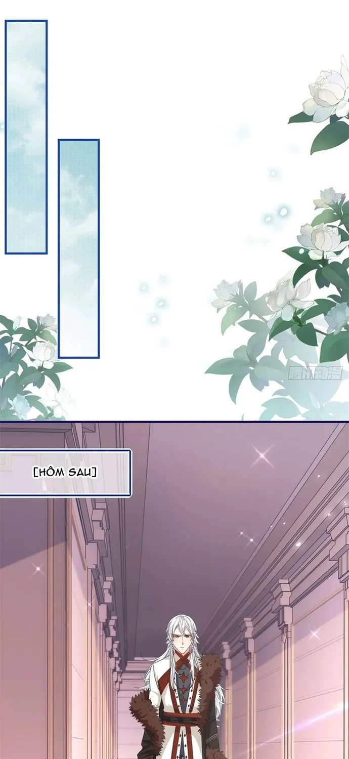 Chapter 115