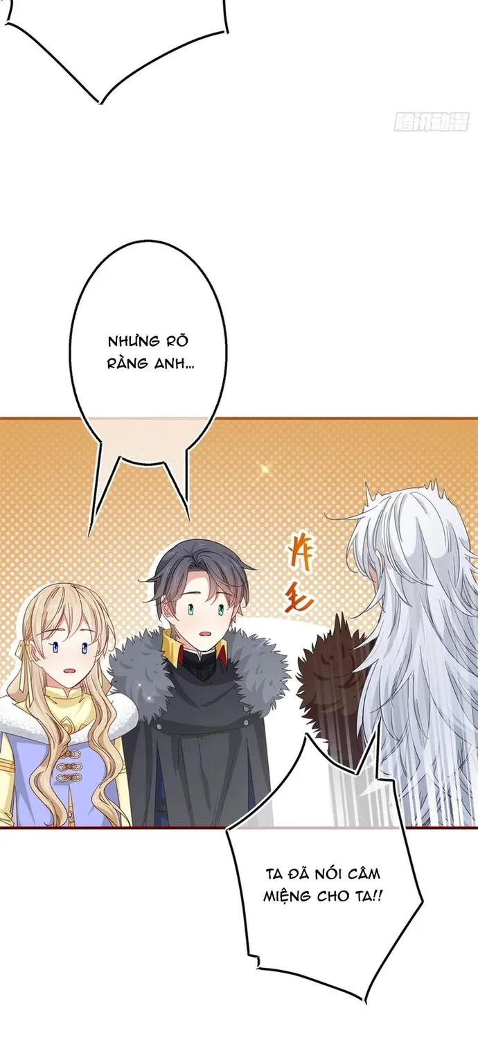 Chapter 115