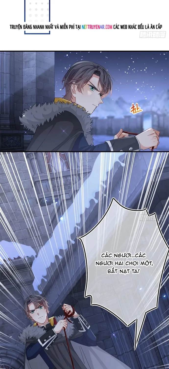 Chapter 115