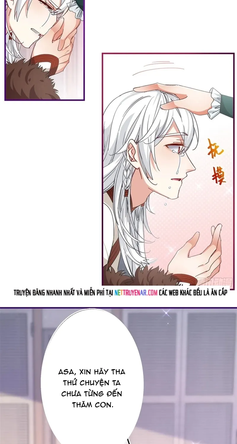 Chapter 116