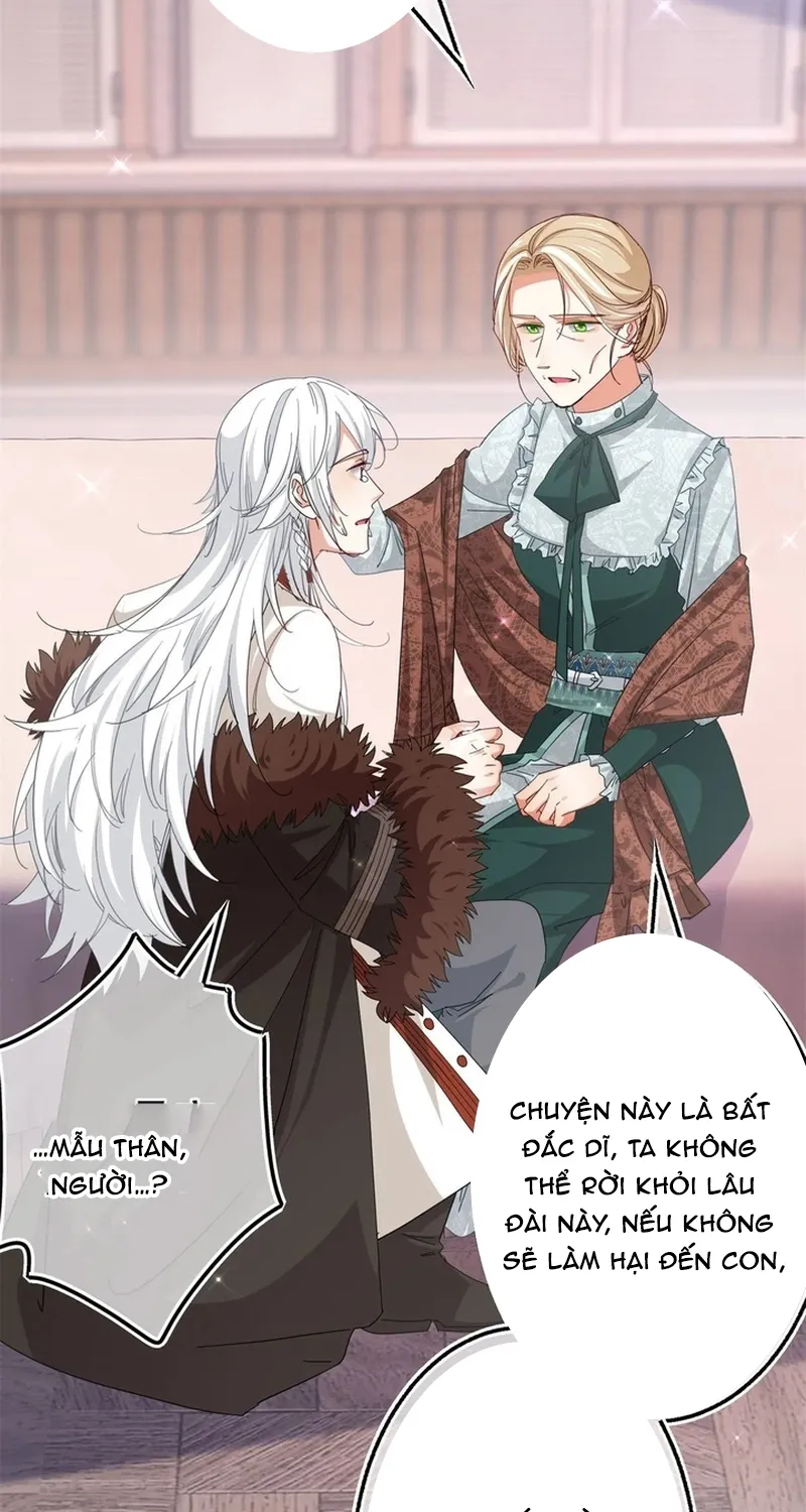 Chapter 116