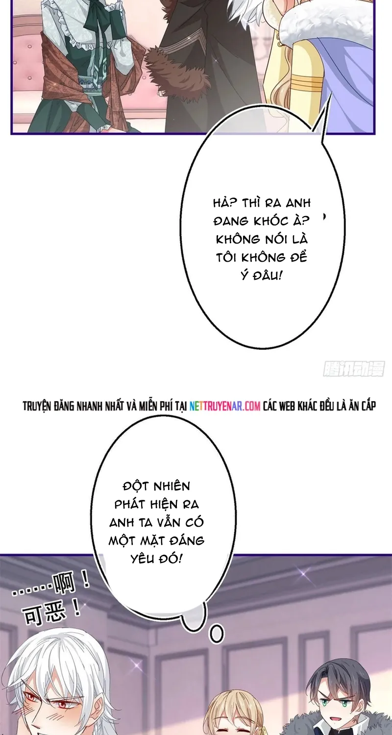 Chapter 116