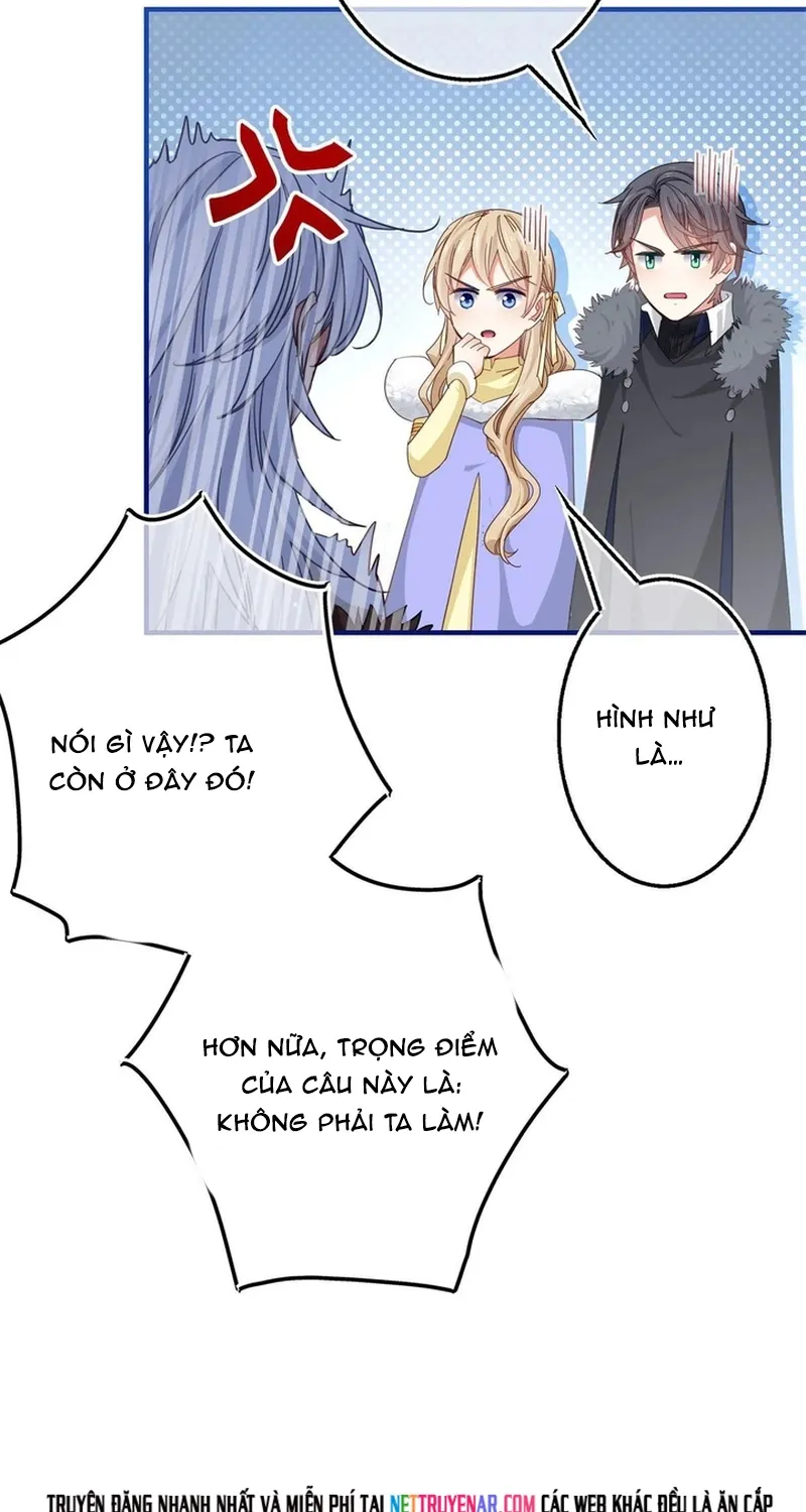 Chapter 116