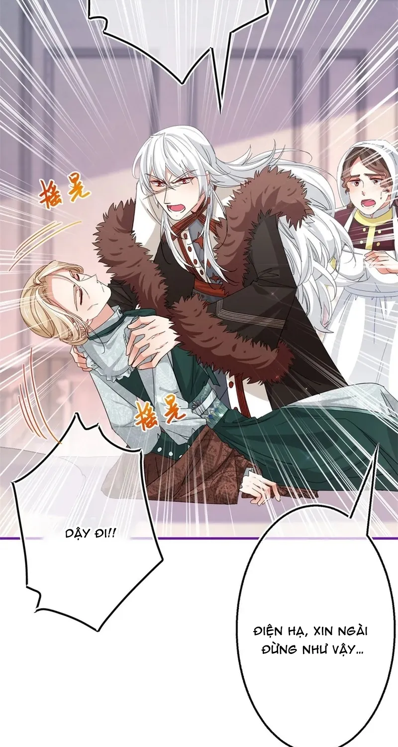 Chapter 116