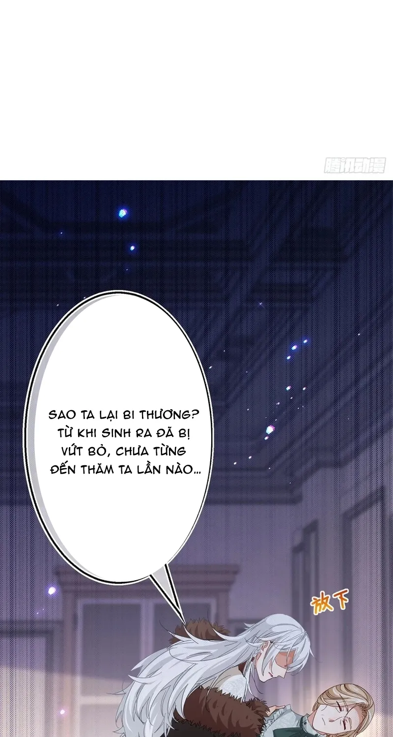 Chapter 116