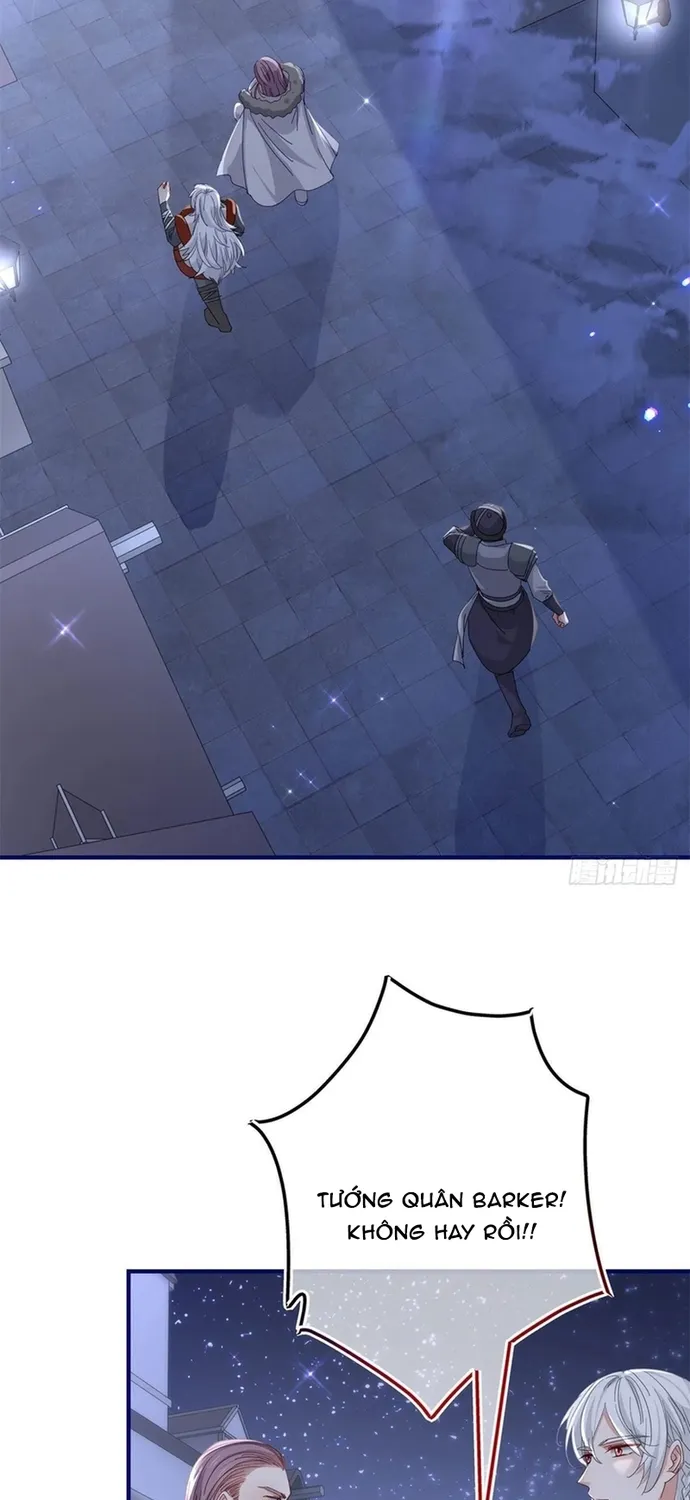 Chapter 117