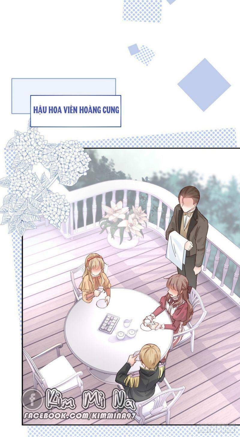 Chapter 12