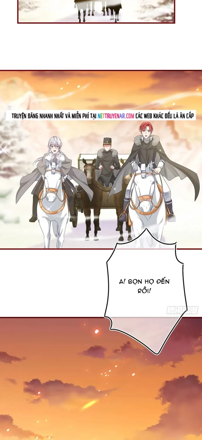 Chapter 119