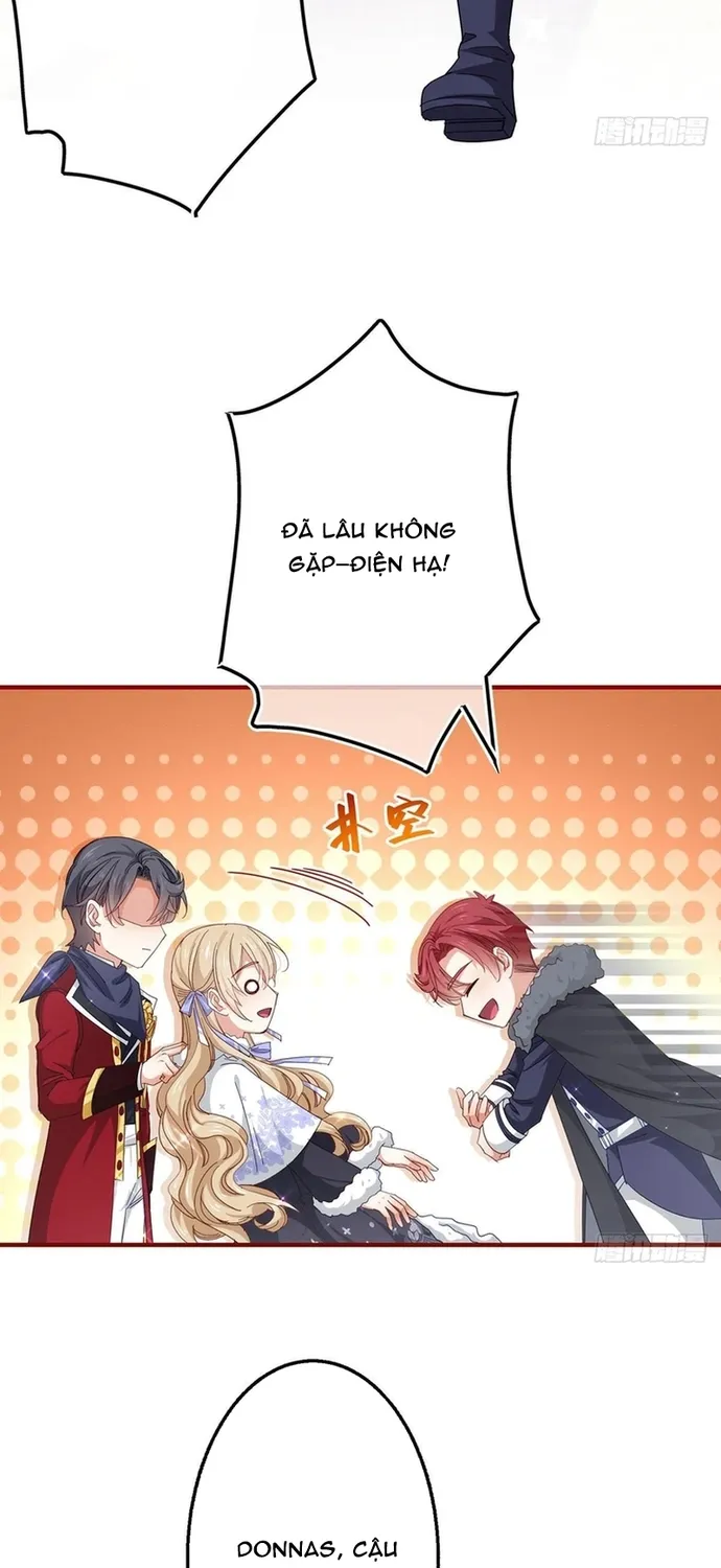 Chapter 119