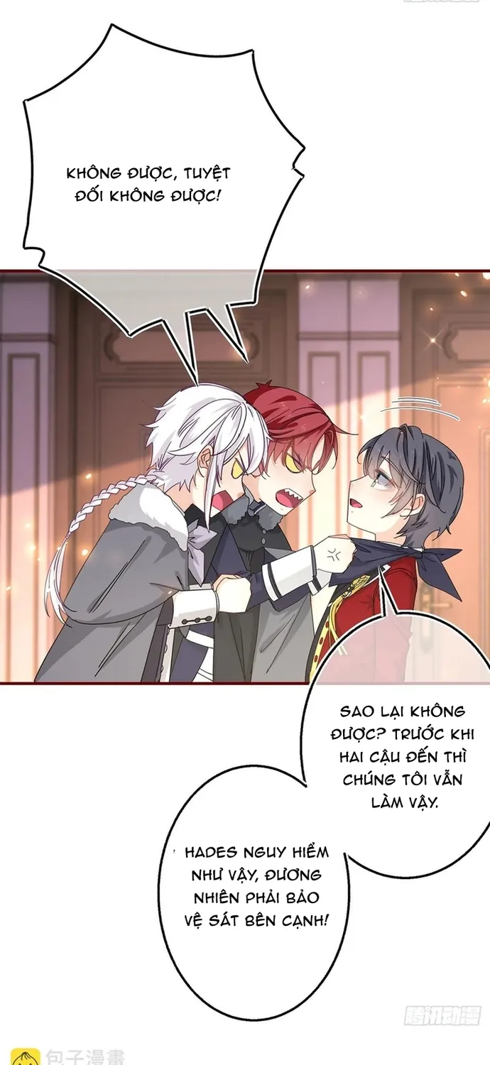 Chapter 119