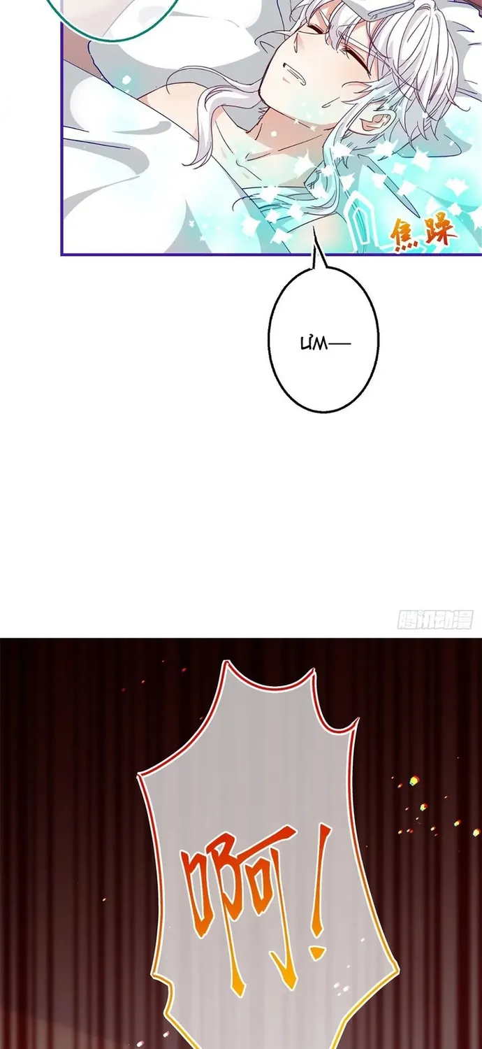 Chapter 126