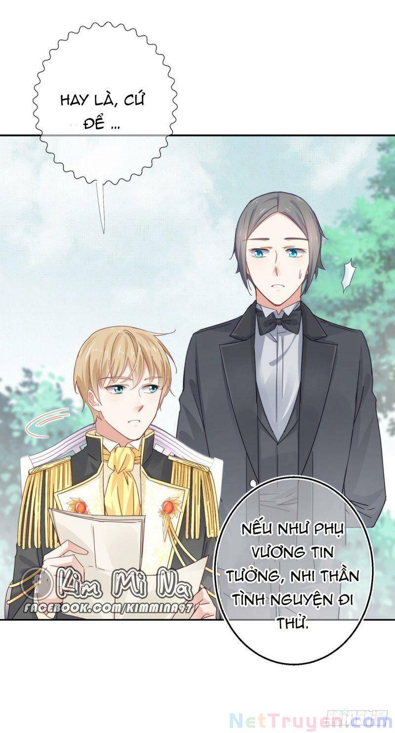 Chapter 13