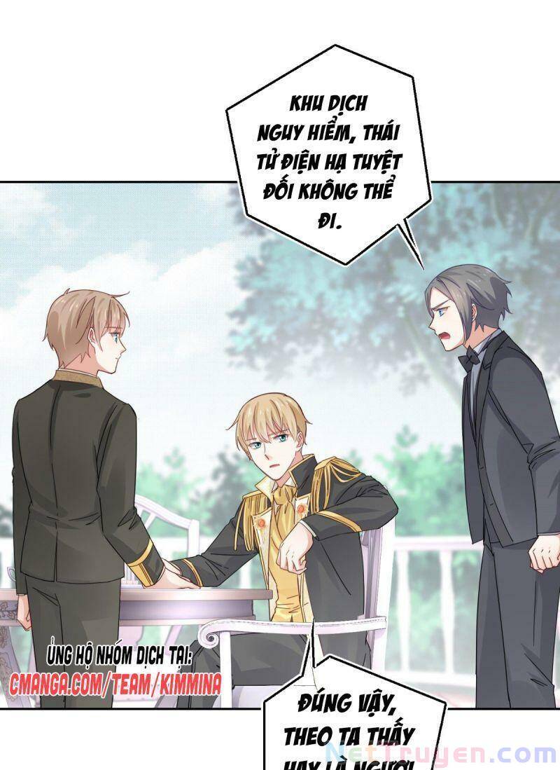 Chapter 13