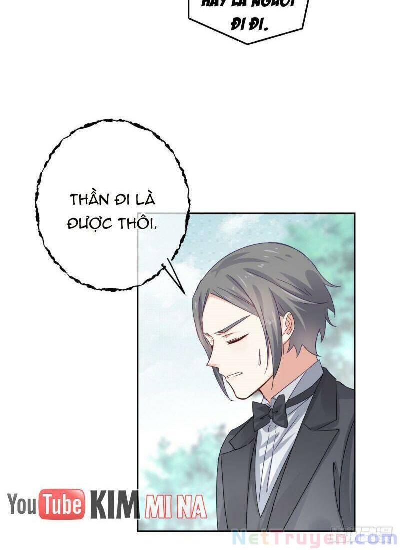 Chapter 13