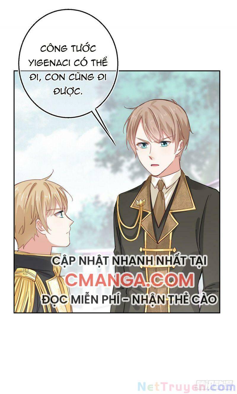 Chapter 13