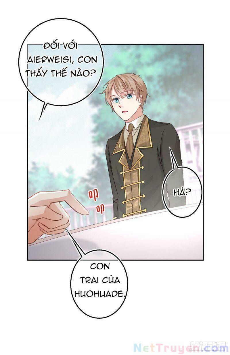 Chapter 13