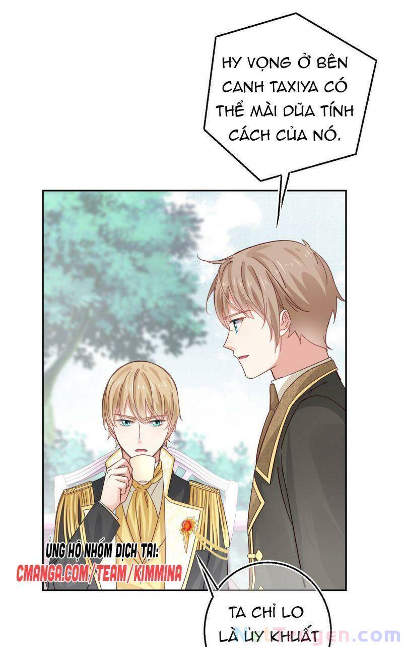 Chapter 13