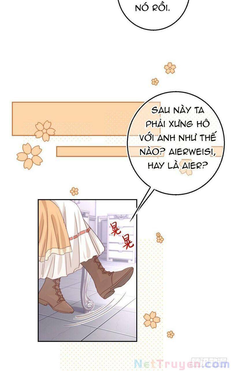 Chapter 13