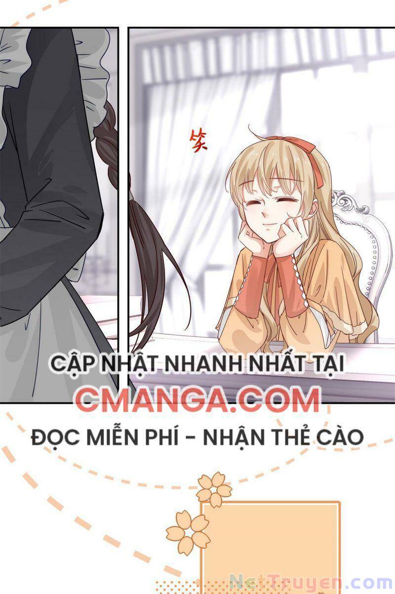Chapter 13
