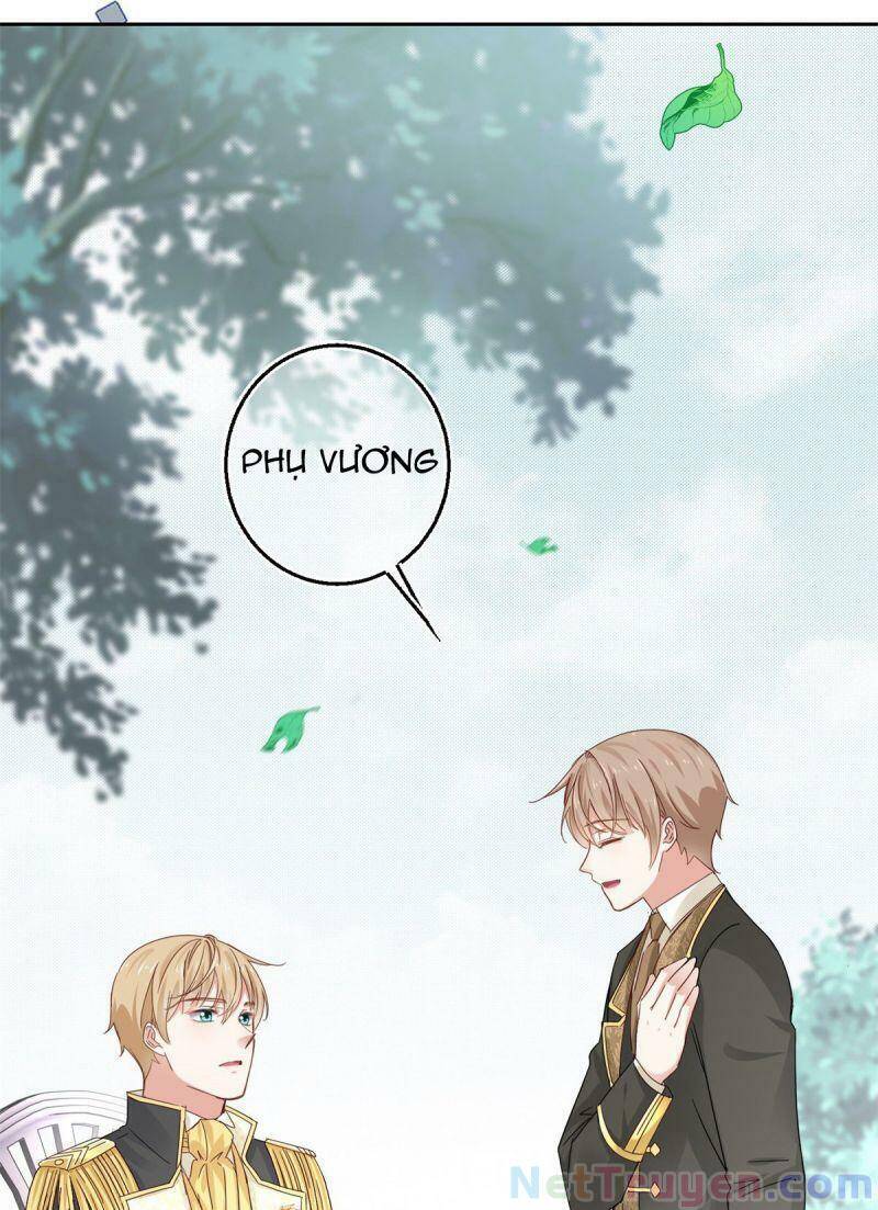 Chapter 13