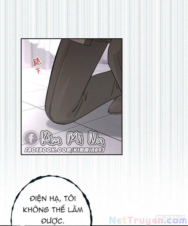 Chapter 13