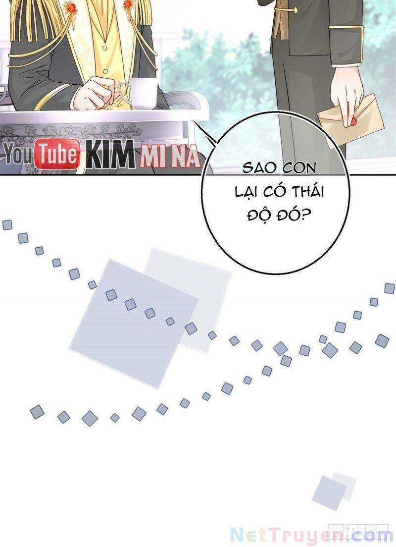 Chapter 13