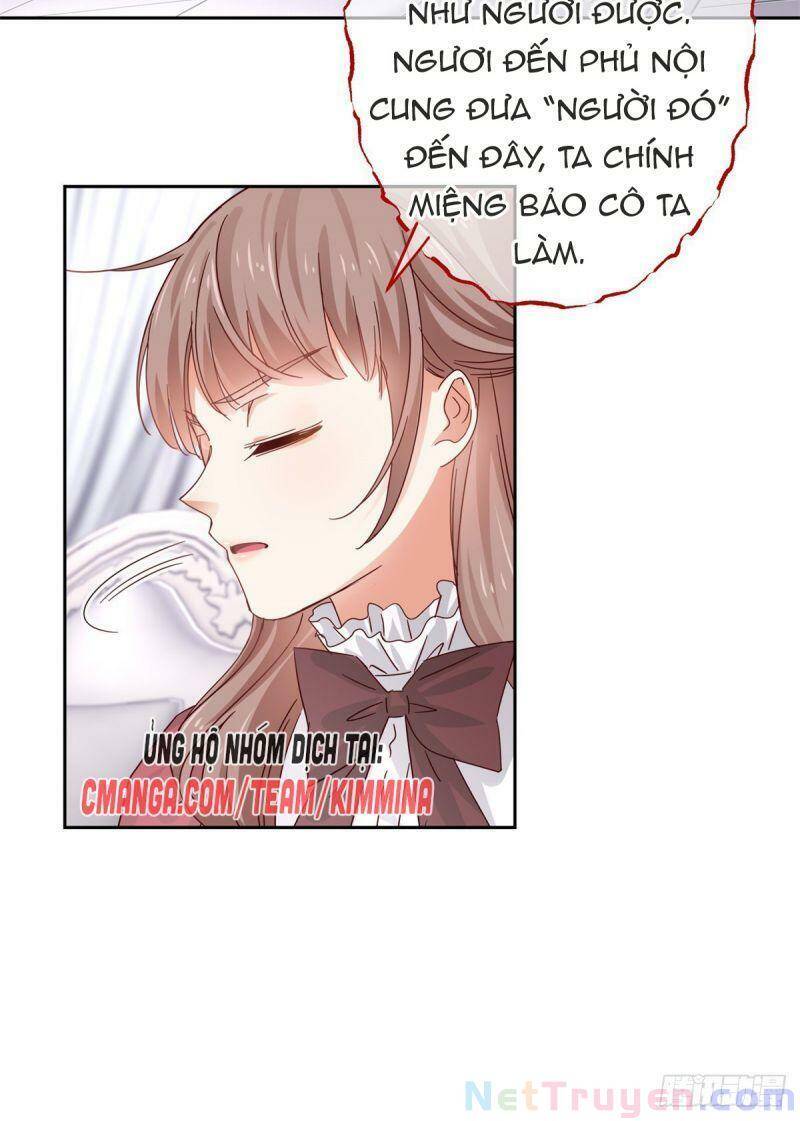 Chapter 13