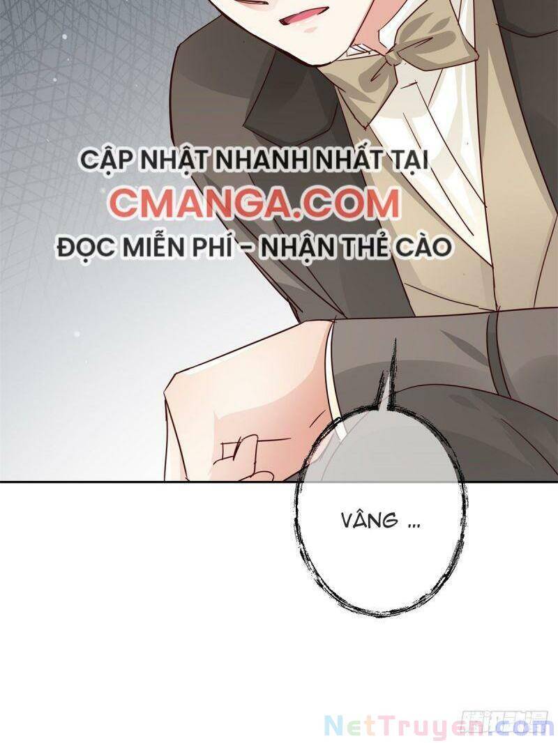 Chapter 13