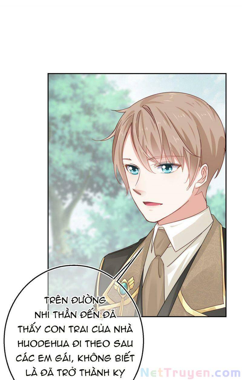 Chapter 13