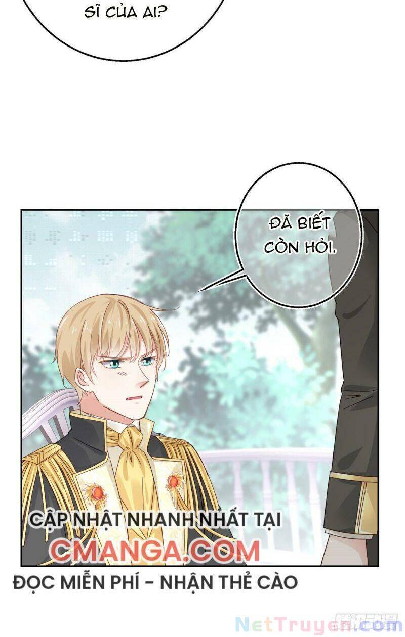 Chapter 13