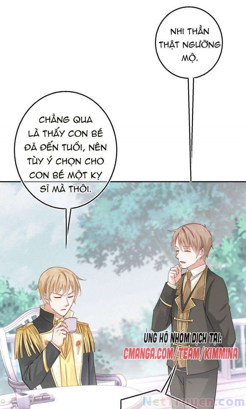 Chapter 13