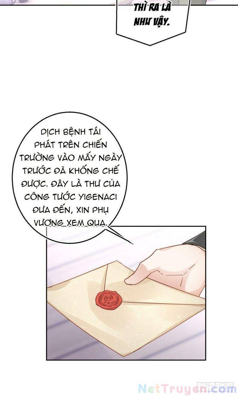Chapter 13