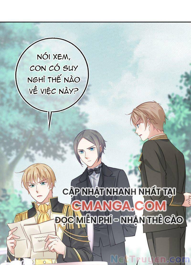 Chapter 13