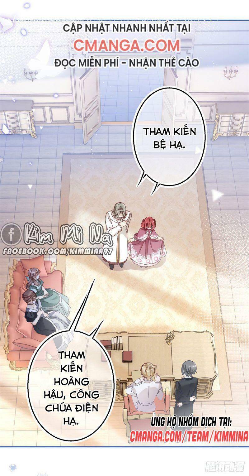 Chapter 17