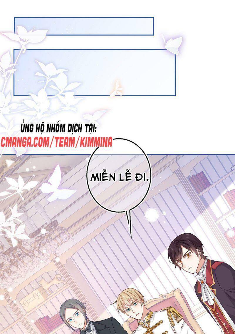 Chapter 17