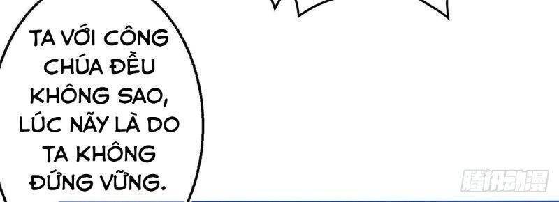 Chapter 19