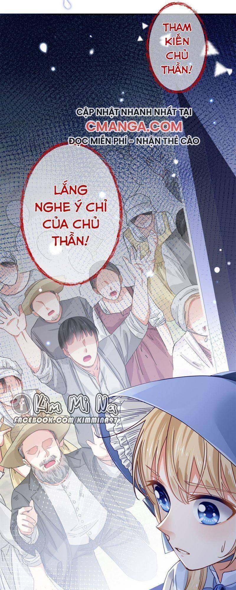 Chapter 19
