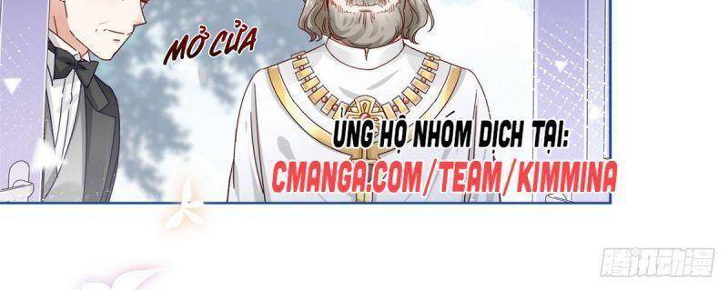 Chapter 19