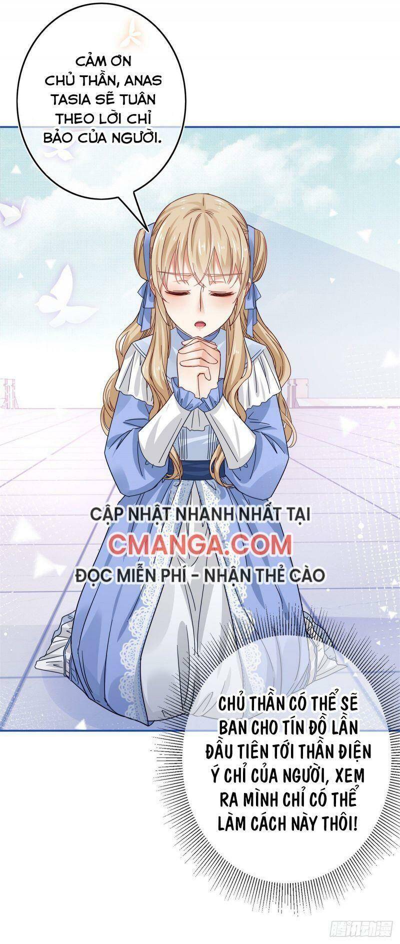 Chapter 20