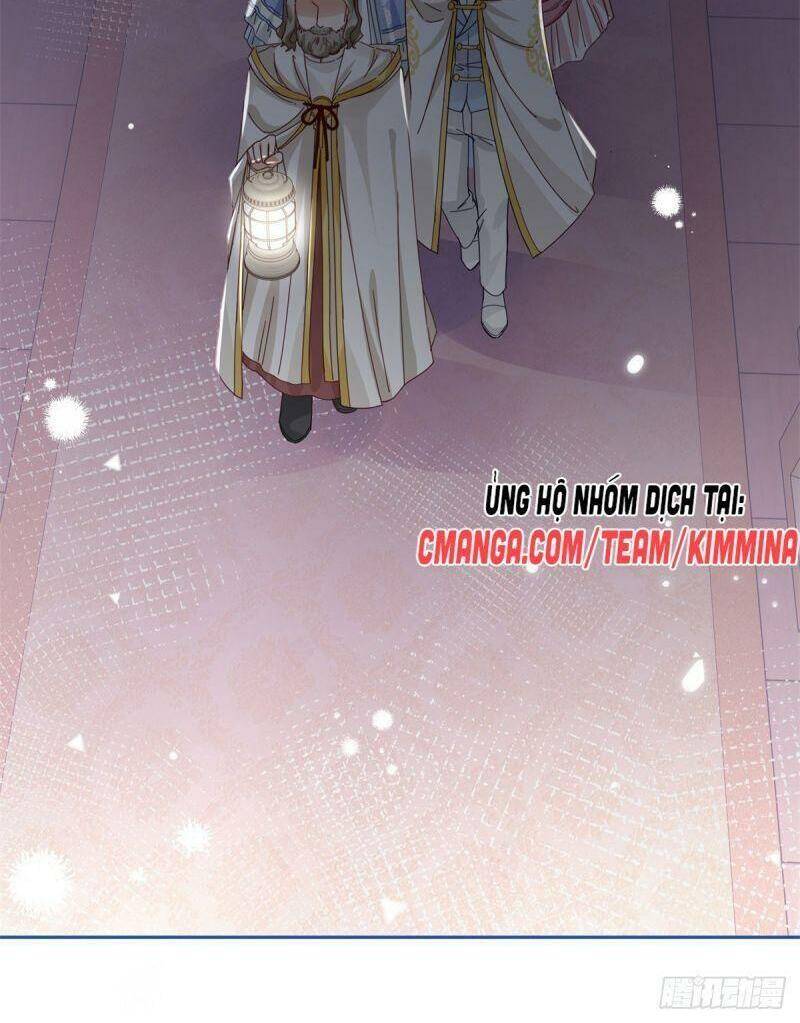Chapter 20