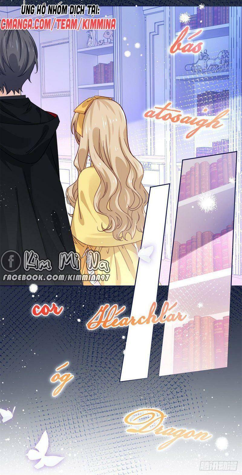 Chapter 20