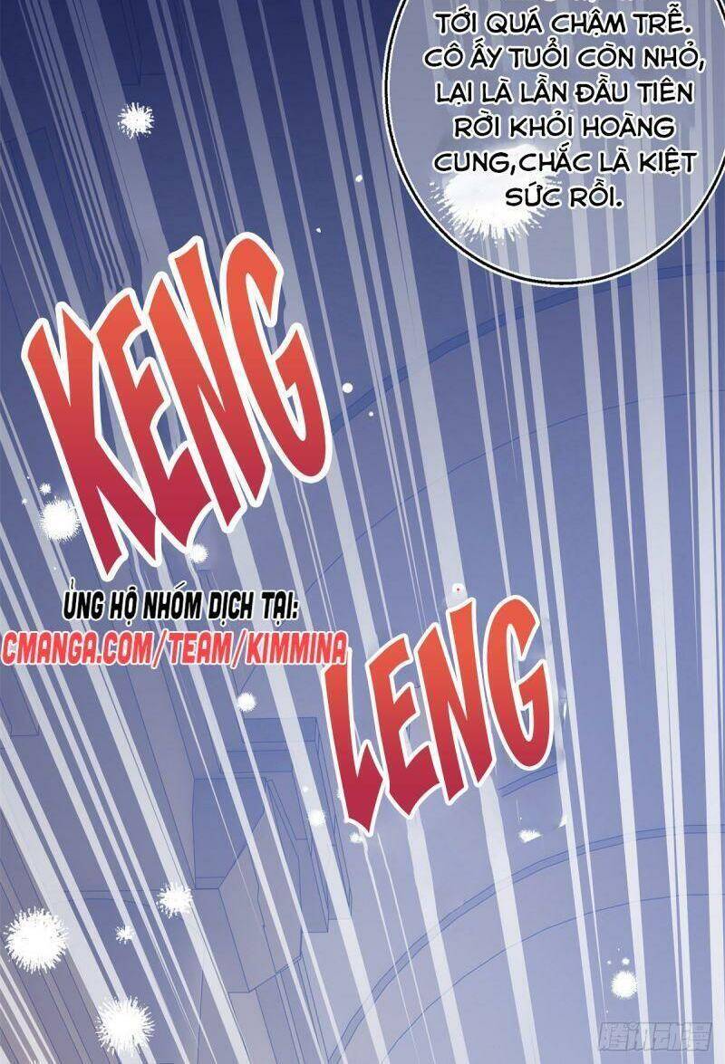 Chapter 20