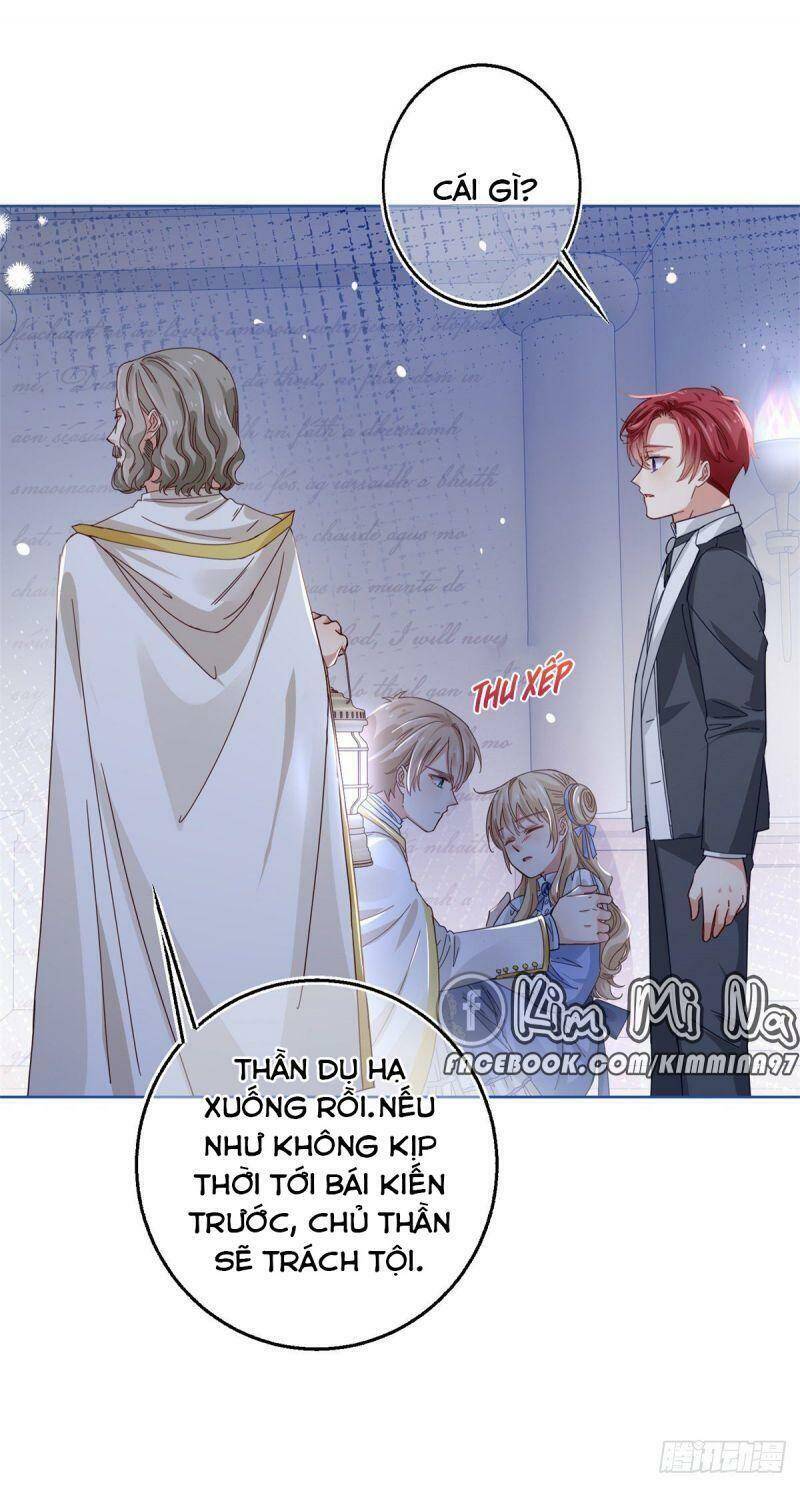 Chapter 20