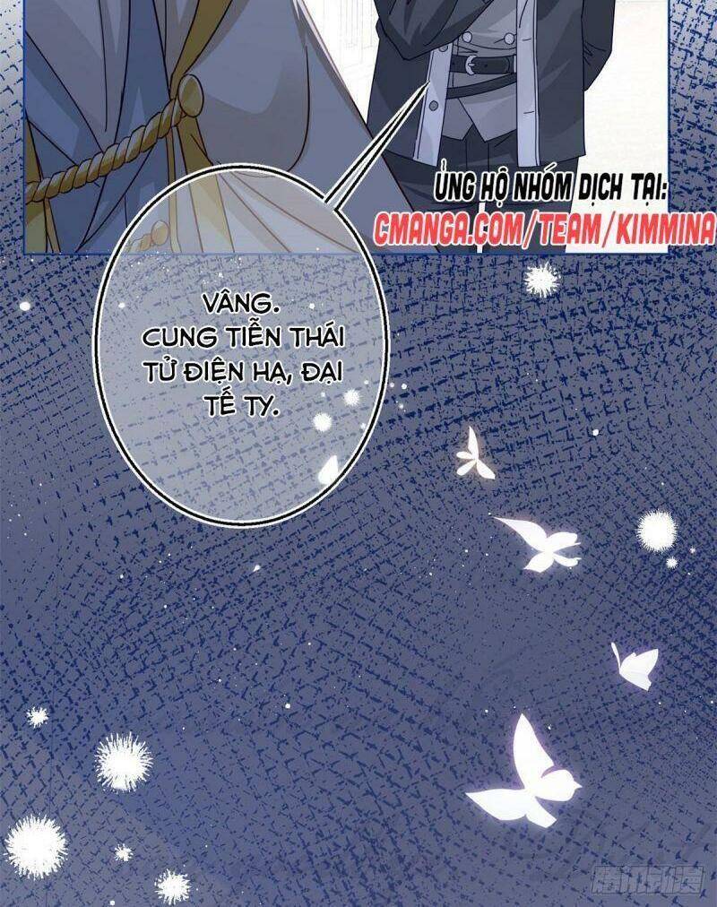 Chapter 20
