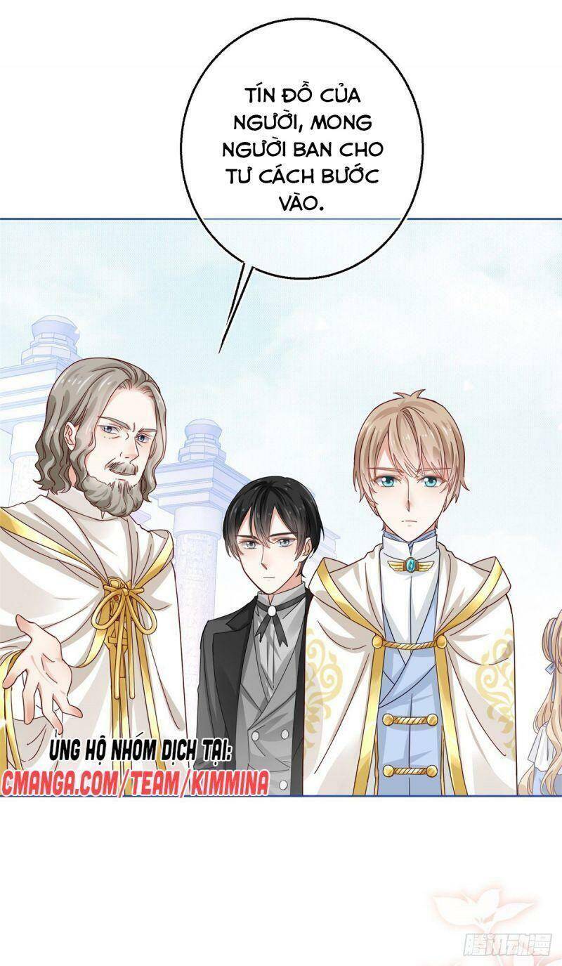 Chapter 20