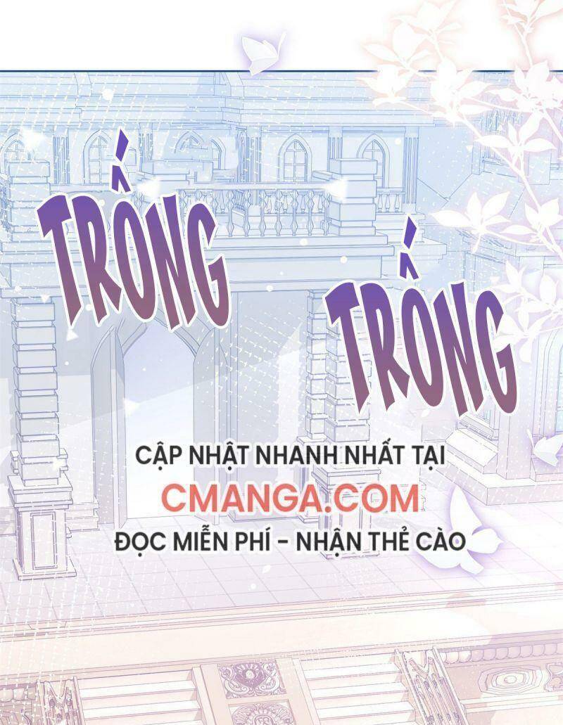 Chapter 20