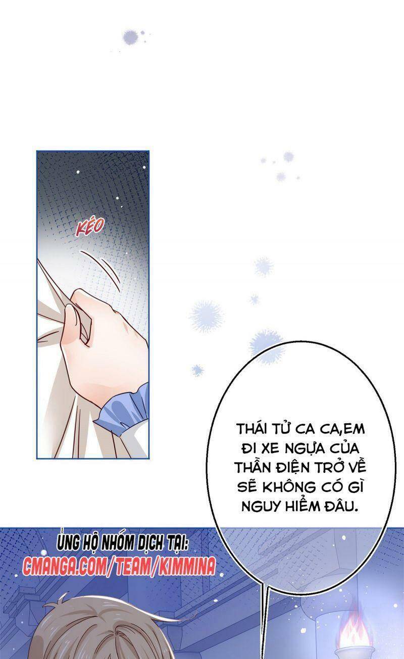 Chapter 22